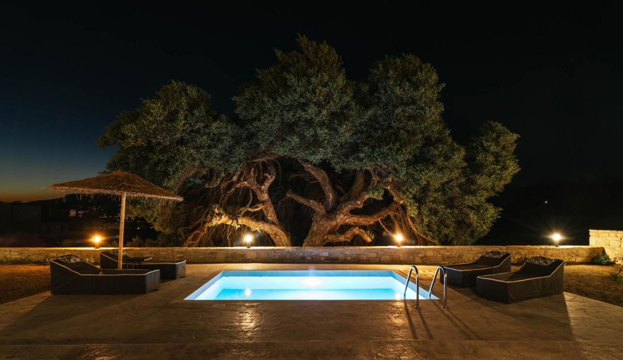 Kedros Katikies Kalamaki (Heraklion) Exterior foto